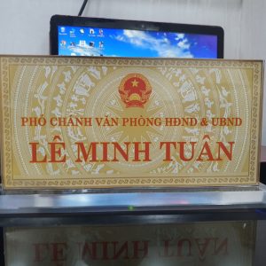 bien chuc danh mica 5